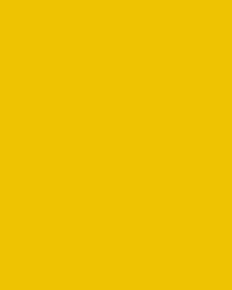 plascoat-yellow344